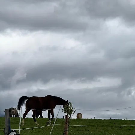 Weitblick * Gersdorf
