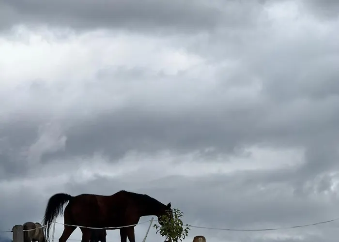 Weitblick * Gersdorf